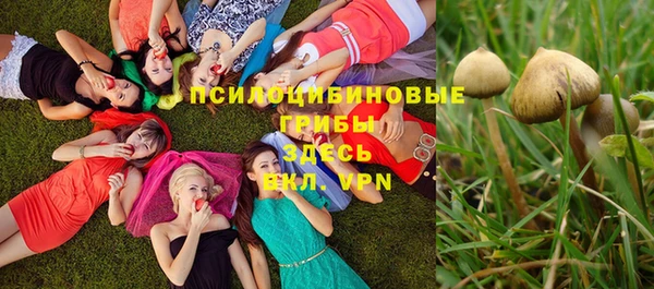 мдпв Баксан
