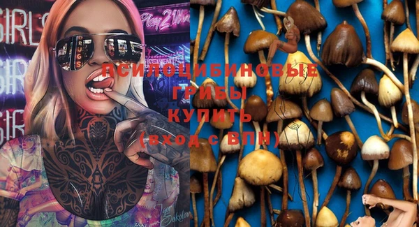 крисы Балабаново