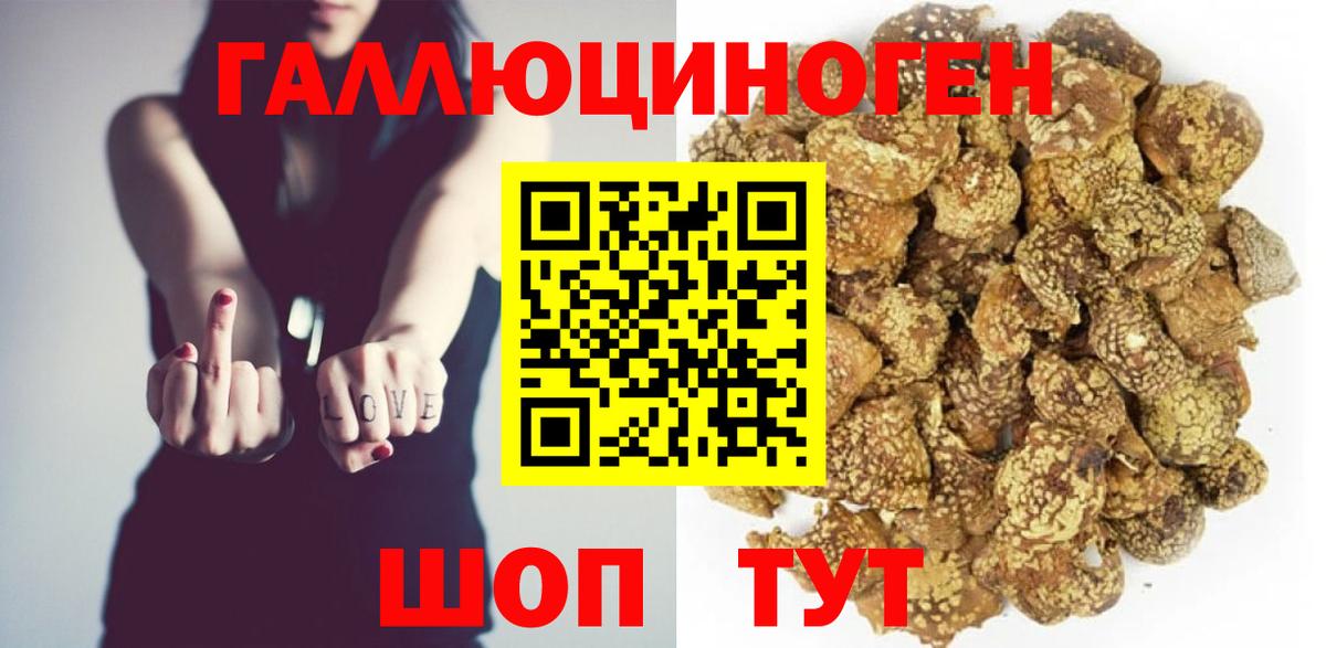Гудермес  Псилоцибиновые грибы Cubensis  Вход с VPN  Псилоцибиновые грибы Psilocybe 