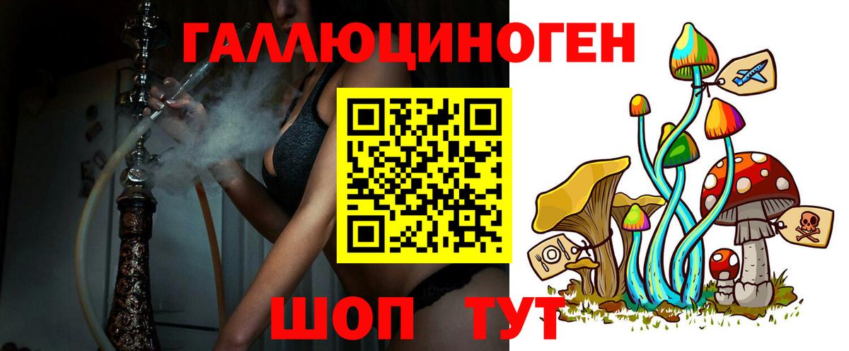 Галлюциногенные грибы мицелий  где найти наркотики  Гудермес 