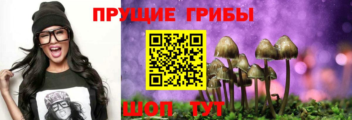 Псилоцибиновые грибы GOLDEN TEACHER Гудермес