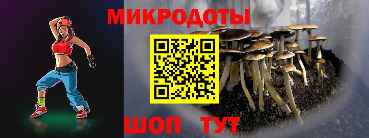 Псилоцибиновые грибы MAGIC MUSHROOMS Гудермес